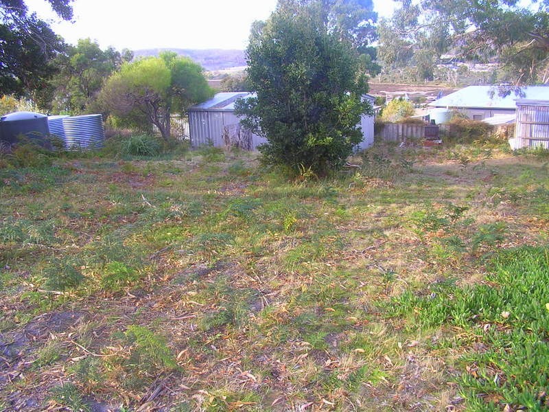 3 Falcon Street, Primrose Sands TAS 7173