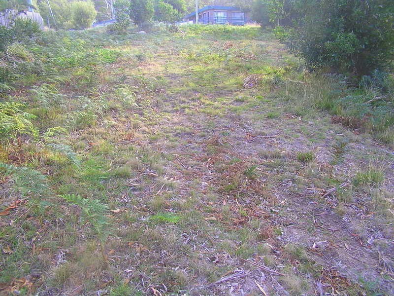 3 Falcon Street, Primrose Sands TAS 7173