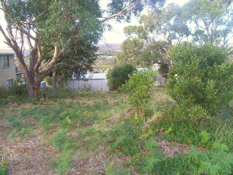 3 Falcon Street, Primrose Sands TAS 7173