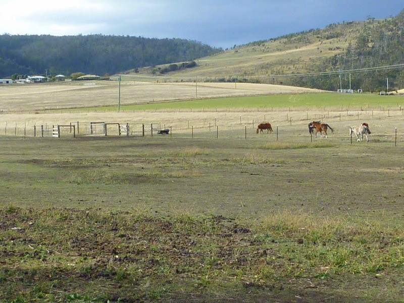 73 Greens Road, Orielton TAS 7172