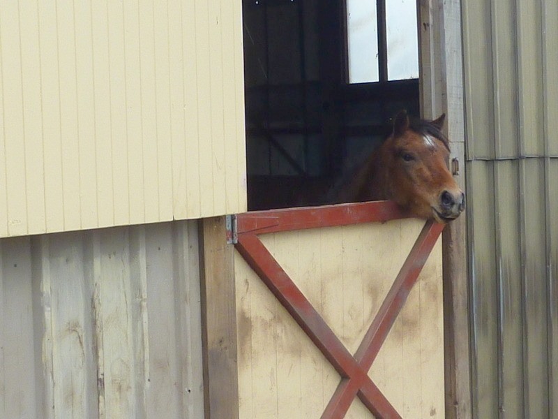 73 Greens Road, Orielton TAS 7172