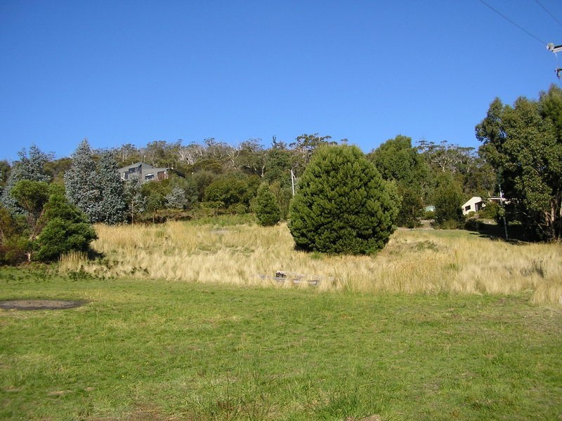 95 White Beach Road, White Beach TAS 7184