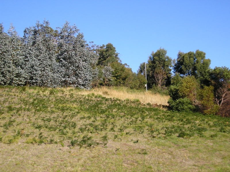 95 White Beach Road, White Beach TAS 7184