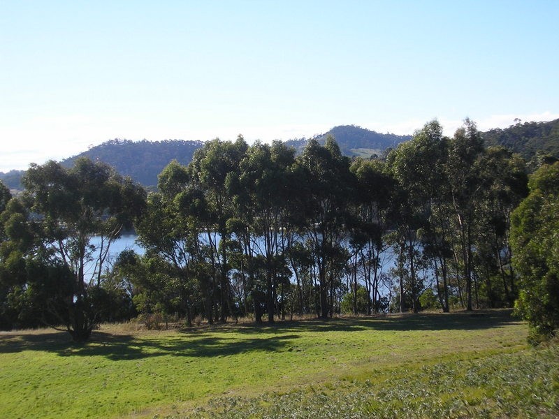 95 White Beach Road, White Beach TAS 7184