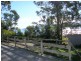 480 White Beach Road, White Beach TAS 7184