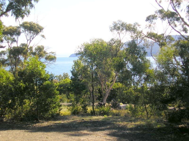 480 White Beach Road, White Beach TAS 7184
