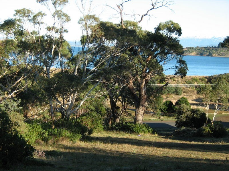 35 Myrica Street, Primrose Sands TAS 7173