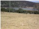 Lot 17 Colleen Crescent, Primrose Sands TAS 7173