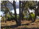 Lot 4 Turvey Street, Nubeena TAS 7184