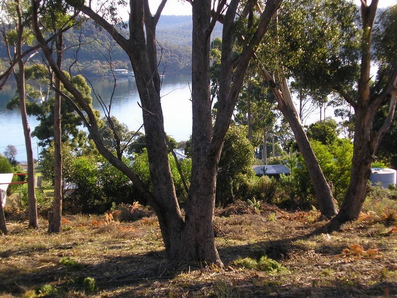 Lot 4 Turvey Street, Nubeena TAS 7184