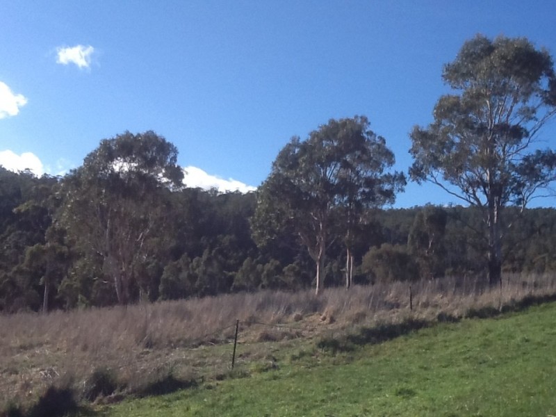 0 Nugent Road, Nugent TAS 7172