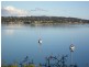 185 Lewisham Scenic Drive, Lewisham TAS 7173