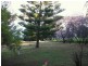 185 Lewisham Scenic Drive, Lewisham TAS 7173