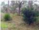 Lot 154 Apex Point Road, White Beach TAS 7184