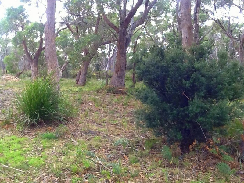 Lot 154 Apex Point Road, White Beach TAS 7184