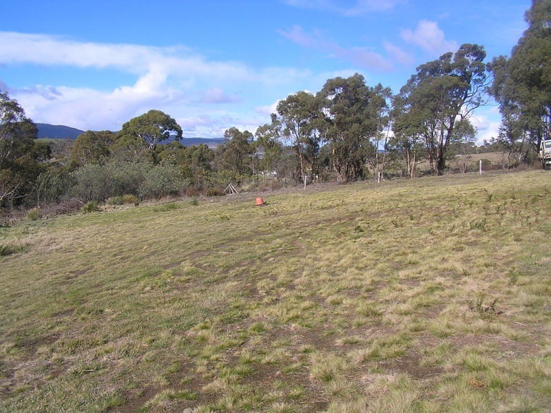 245 Native Corners Road, Campania TAS 7026