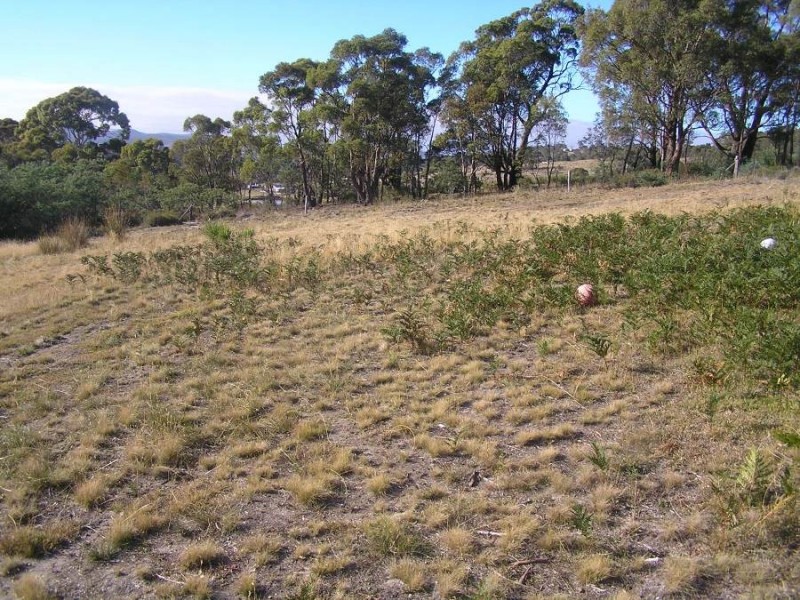 245 Native Corners Road, Campania TAS 7026