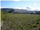 52 Kirabati Road, Midway Point TAS 7171