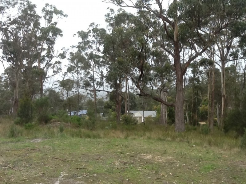 599 White Beach Road, White Beach TAS 7184