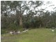 599 White Beach Road, White Beach TAS 7184