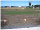 Lot 36 Bluebell Close (Off Whitelea Court), Sorell TAS 7172