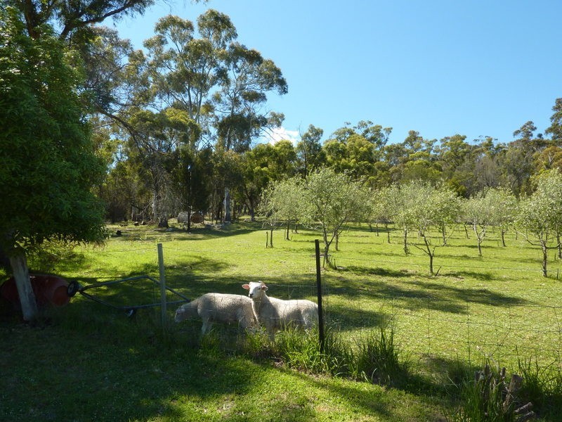540 Pawleena Road, Sorell TAS 7172