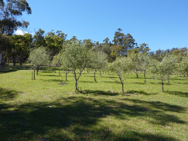 540 Pawleena Road, Sorell TAS 7172