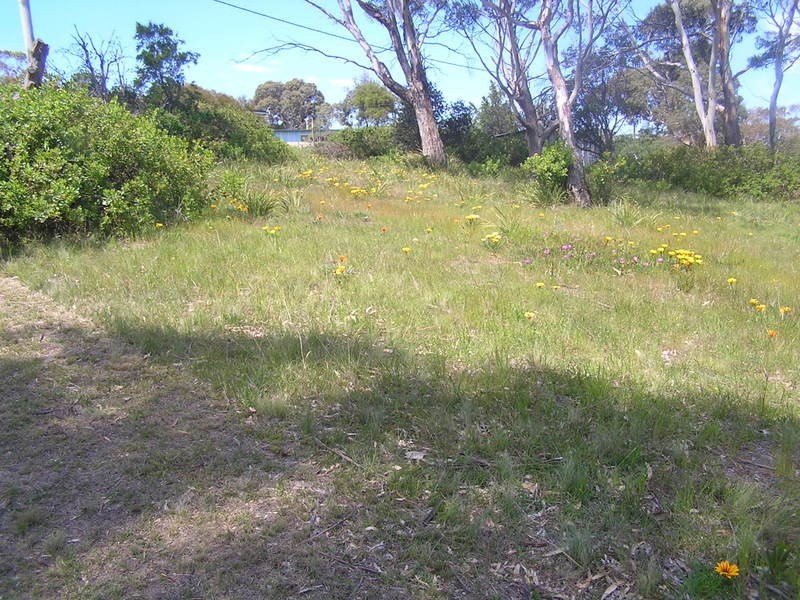 33 Myrica Street, Primrose Sands TAS 7173
