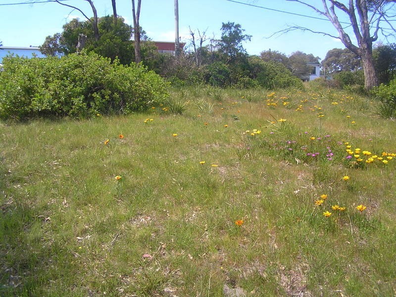 33 Myrica Street, Primrose Sands TAS 7173