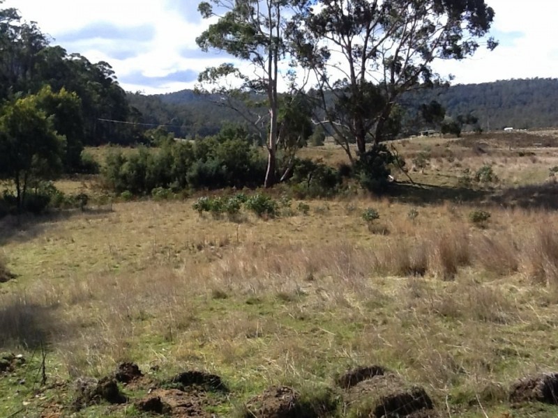 Lot 1 Hungry Flats Road, Colebrook TAS 7027