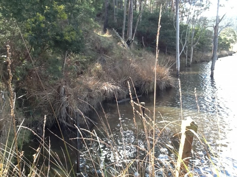 Lot 1 Hungry Flats Road, Colebrook TAS 7027