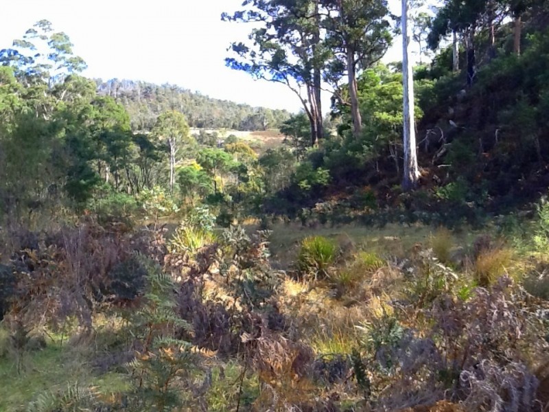Lot 1 Hungry Flats Road, Colebrook TAS 7027