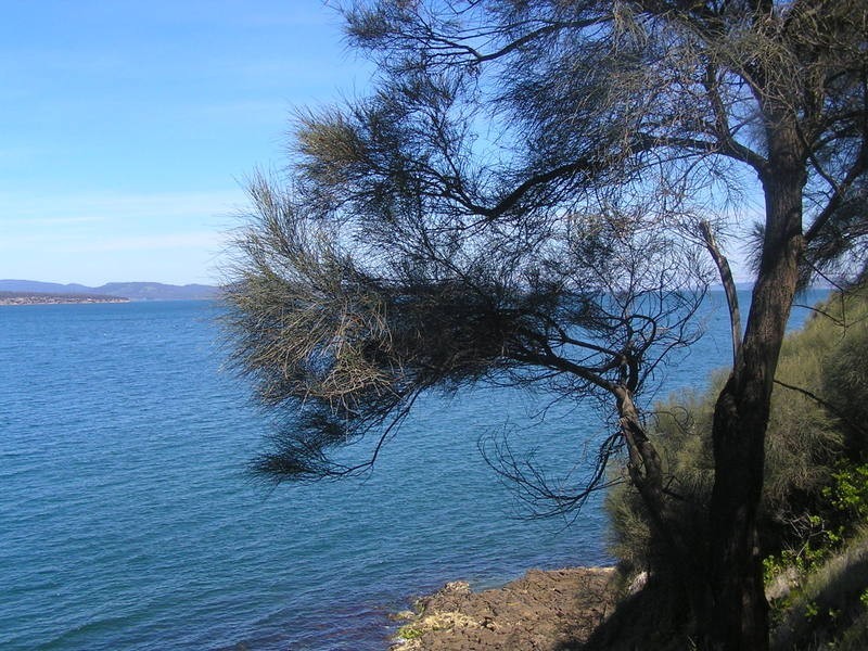 61 Linden Road, Primrose Sands TAS 7173