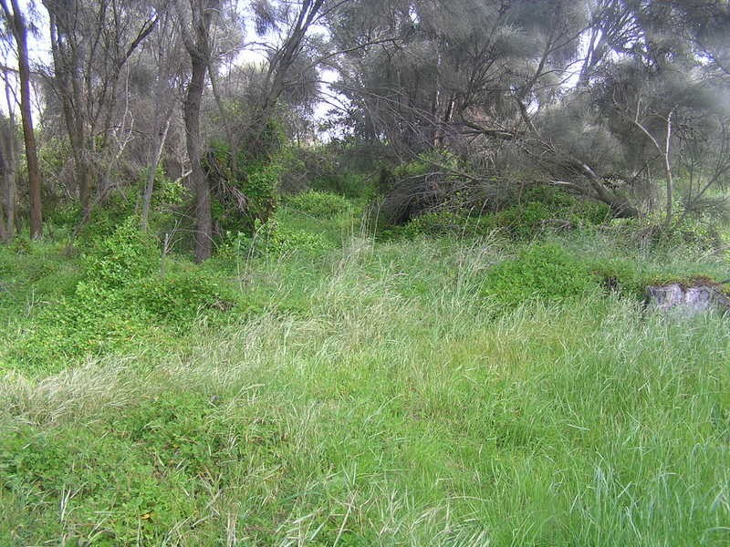 61 Linden Road, Primrose Sands TAS 7173