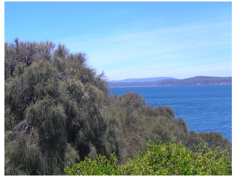 61 Linden Road, Primrose Sands TAS 7173
