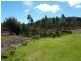 22 Radnor Road, Port Arthur TAS 7182