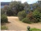 162 Apex Point Road, White Beach TAS 7184