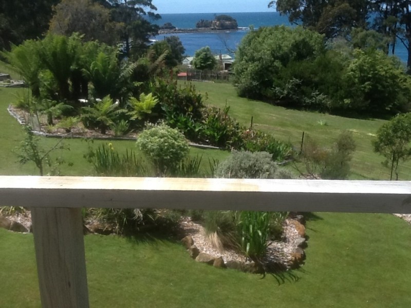 335 Pirates Bay Drive, Eaglehawk Neck TAS 7179