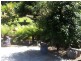 335 Pirates Bay Drive, Eaglehawk Neck TAS 7179
