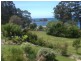 335 Pirates Bay Drive, Eaglehawk Neck TAS 7179