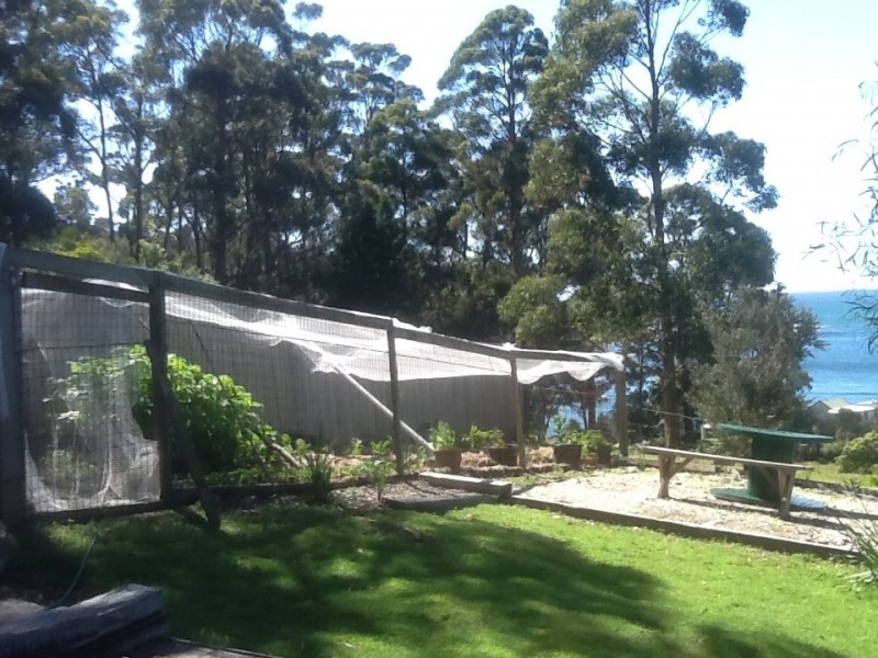 335 Pirates Bay Drive, Eaglehawk Neck TAS 7179