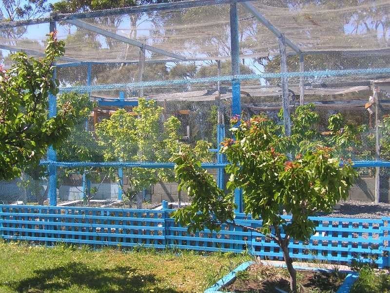 15 Linden Road, Primrose Sands TAS 7173