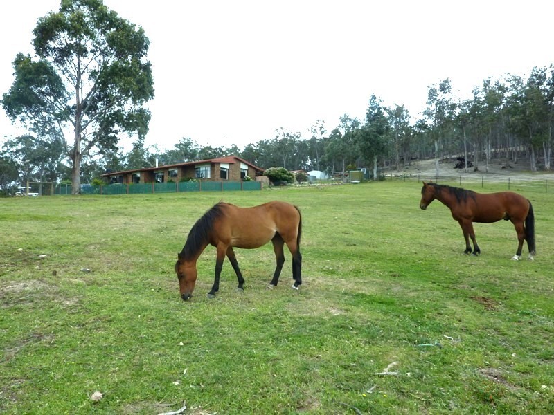 855 Arthur Highway, Forcett TAS 7173