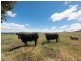 61 Branders Road, Orielton TAS 7172