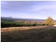 314 Marion Bay Road, Bream Creek TAS 7175