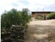 314 Marion Bay Road, Bream Creek TAS 7175