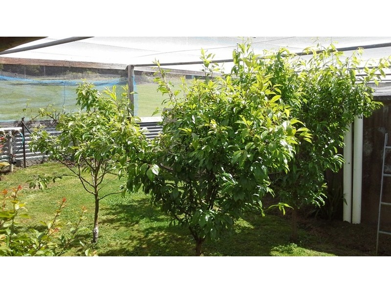 6784 Arthur Highway, Port Arthur TAS 7182