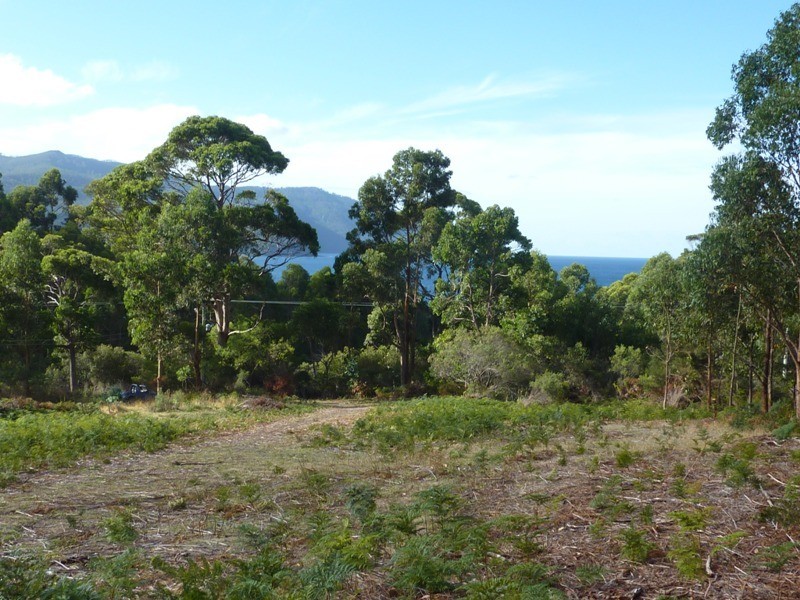 178 Blowhole Road, Eaglehawk Neck TAS 7179