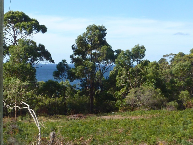 178 Blowhole Road, Eaglehawk Neck TAS 7179
