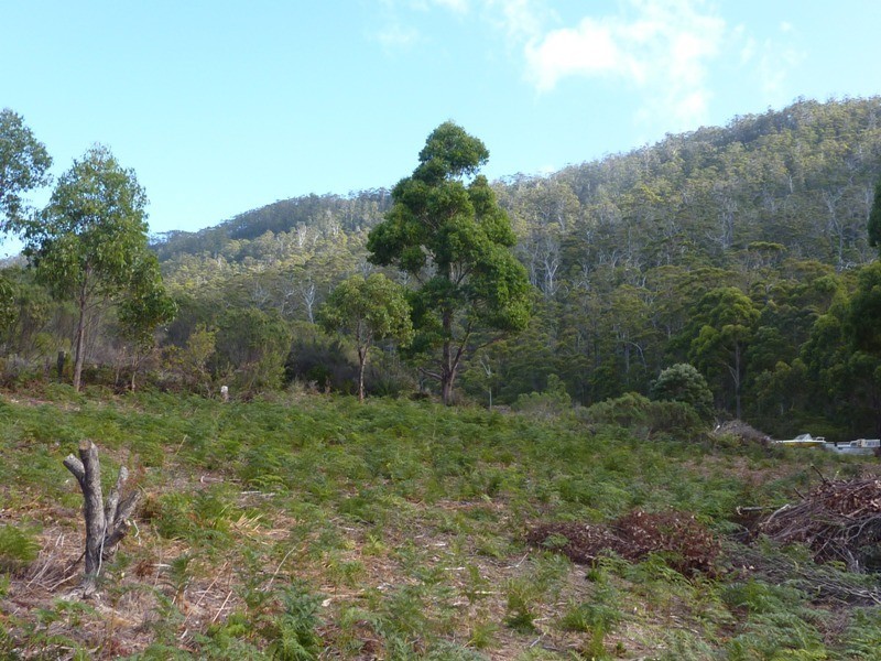 178 Blowhole Road, Eaglehawk Neck TAS 7179